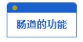 大同肛泰详解长期肚子不舒服又查不出问题当心肠易激综合征！(图1)