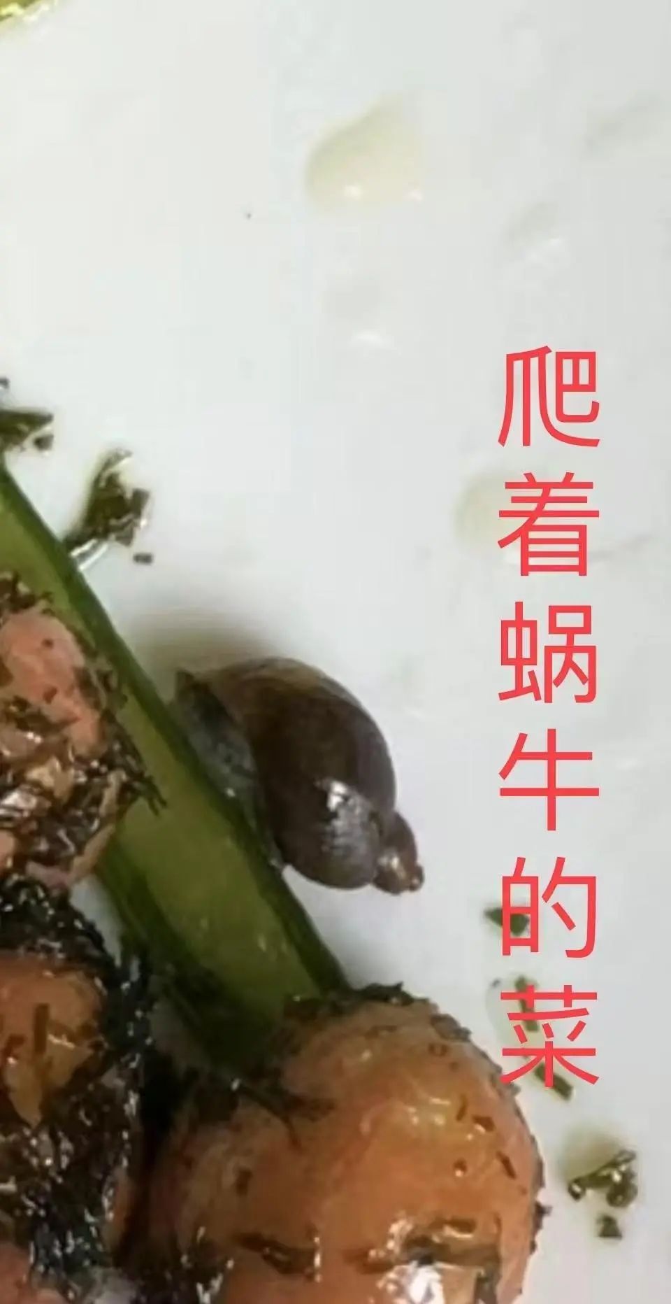 看丹观察丨每月1400元餐标的学校食堂吃出虫子？网友：心太黑！(图4)