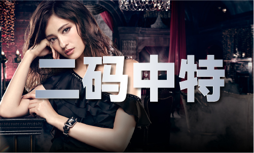 澳门彩红灯笼挂牌V(图1)