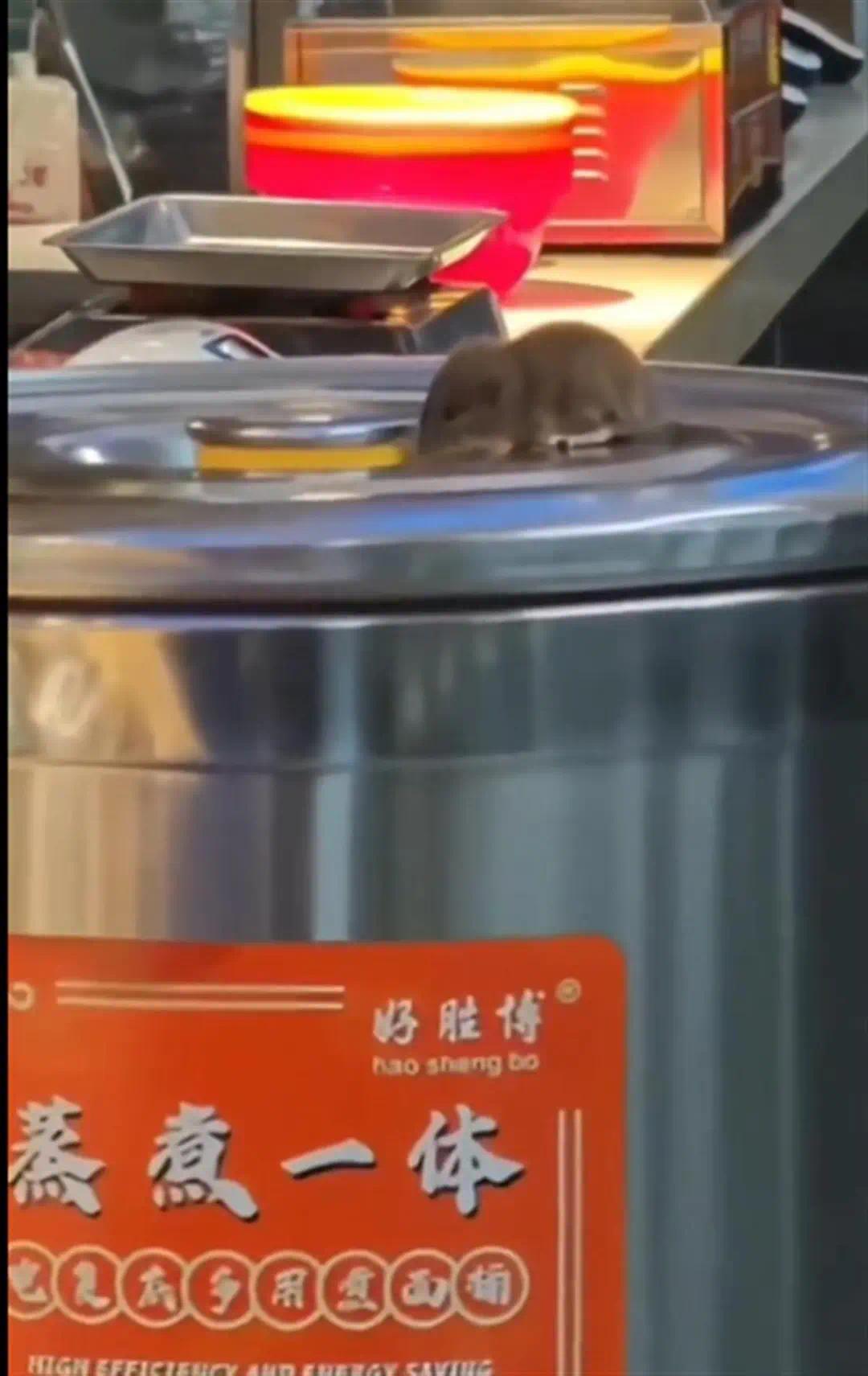 一高校食堂有老鼠爬上煮面桶？市监局：已赶赴学校调查(图1)
