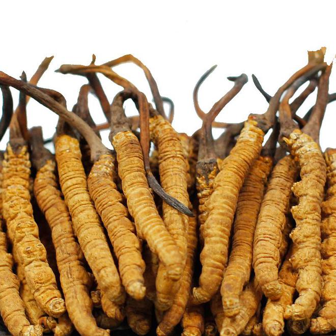 2025年暴涨中药材是什么(图3)