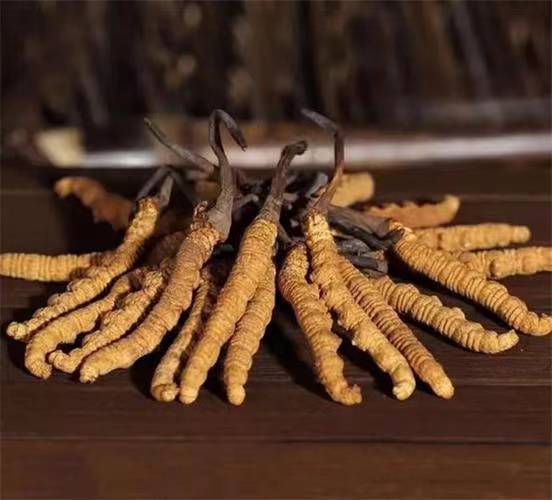 众兴菌业投资123亿元改造项目审议通过(图1)