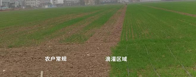 新技术新农资大显身手这届春耕满满“科技范儿”！(图5)