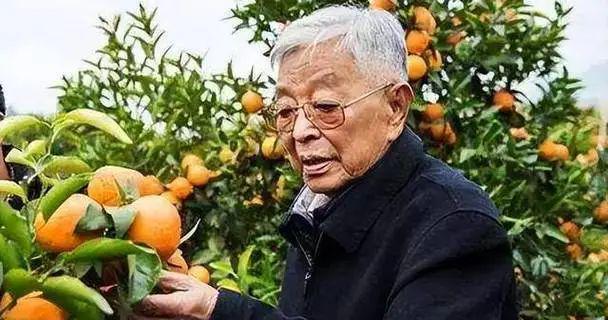 万科王石返贫一把年纪还为生活奔波(图2)