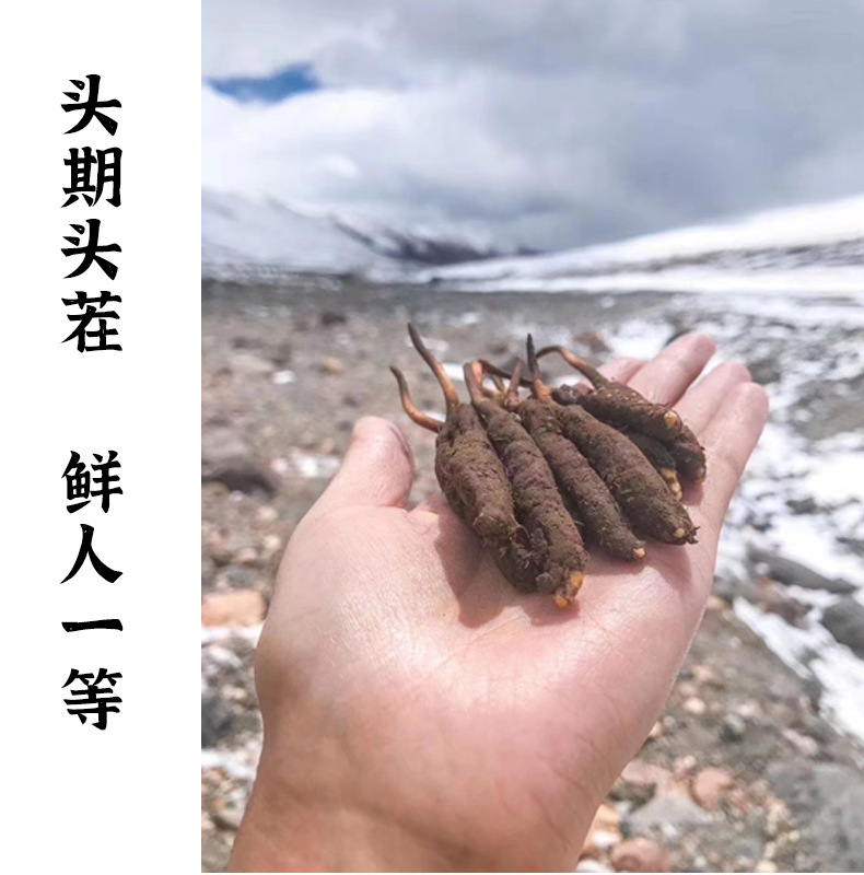 清水县工作会议在干部群众中引发热烈反响（一）(图1)