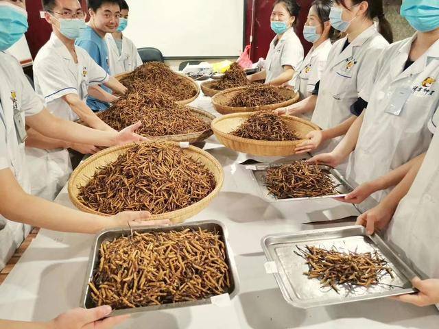 天价虫草被曝光！他的一番话令同行羞愧难当(图1)