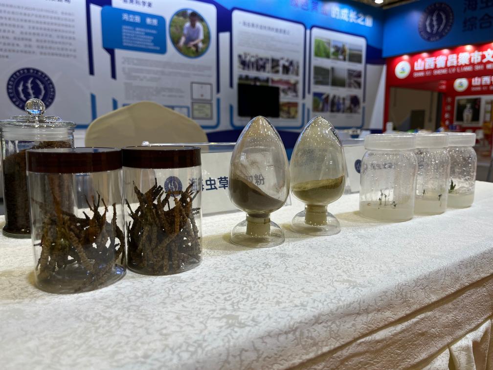 种在盐碱地、灌溉用海水这样的海水蔬菜好吃吗？(图2)