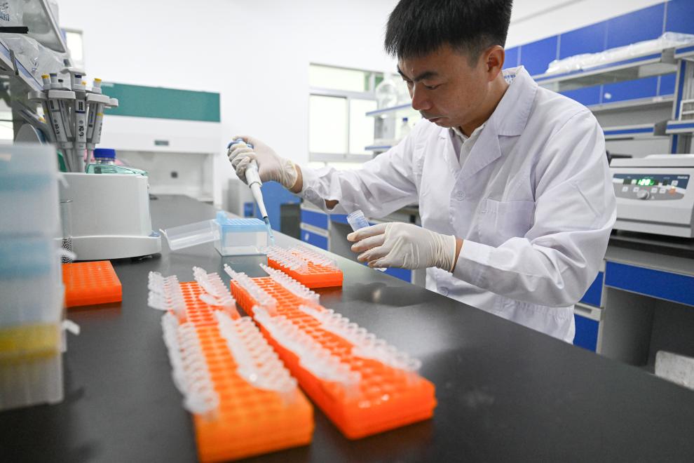 种在盐碱地、灌溉用海水这样的海水蔬菜好吃吗？(图6)