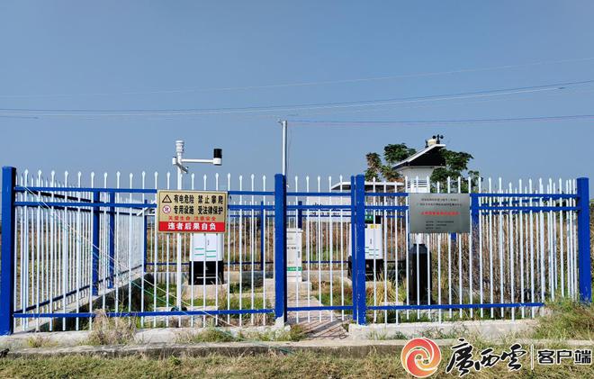 未雨绸缪 虫口夺粮｜广西植保专家提醒春耕春种须抓好病虫害防治(图2)
