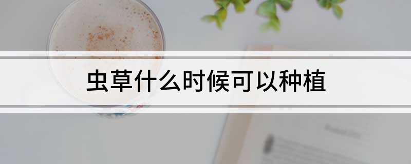 虫草什么时候可以种植(图1)
