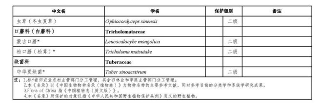 价值18万余元！男子在祁连山非法收购5632根冬虫夏草构成危害国家重点保护植物罪获刑(图2)