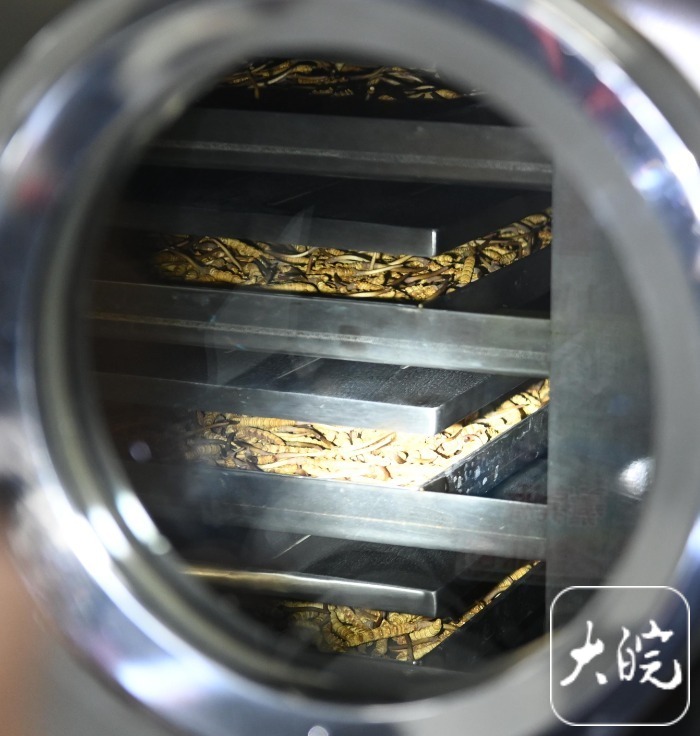 长三角主流媒体宜昌调研行宜昌土特产的“含金量”越来越高(图1)