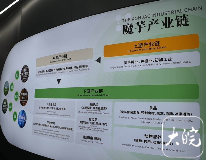 长三角主流媒体宜昌调研行宜昌土特产的“含金量”越来越高(图4)