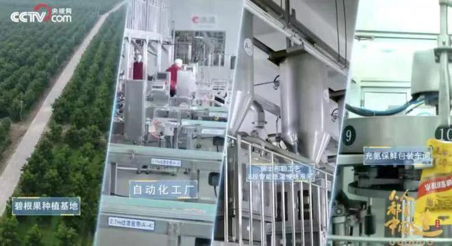 洽洽2024业绩双增渠道精耕战略大爆发！派发65亿红包(图5)