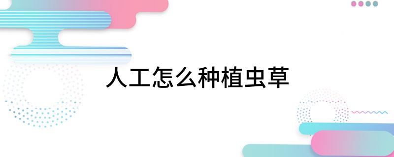 人工怎么种植虫草(图1)