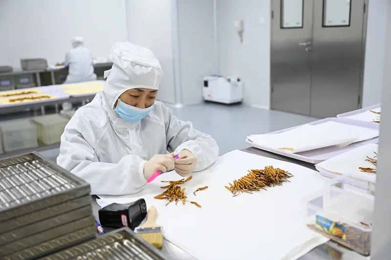 全球最大、世界首创就在宜昌！(图3)