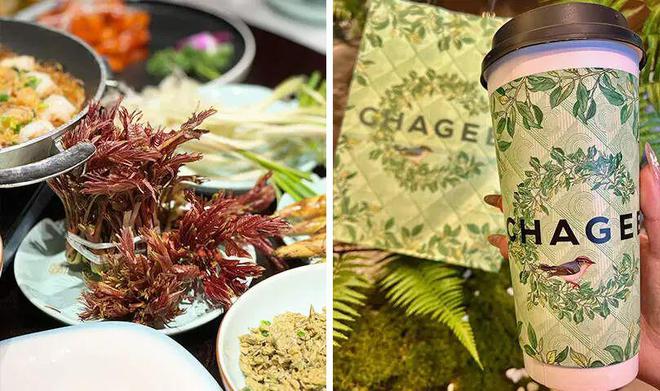 一季度餐饮市场这几个变化万万没想到！(图6)