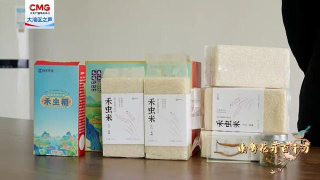 南粤花开百千万 从金融圈到田埂间！澳门青年在稻田养出 “水中虫草”(图6)