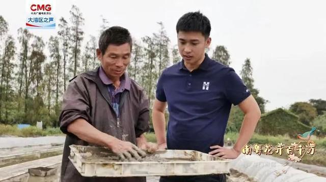 南粤花开百千万 从金融圈到田埂间！澳门青年在稻田养出 “水中虫草”(图3)