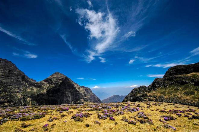 解锁药山：千年本草圣山的生态史诗与产业新生密码(图1)