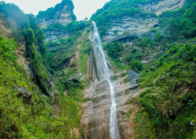 解锁药山：千年本草圣山的生态史诗与产业新生密码(图3)