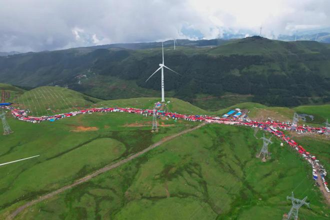 解锁药山：千年本草圣山的生态史诗与产业新生密码(图10)