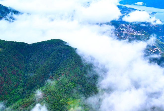 解锁药山：千年本草圣山的生态史诗与产业新生密码(图14)