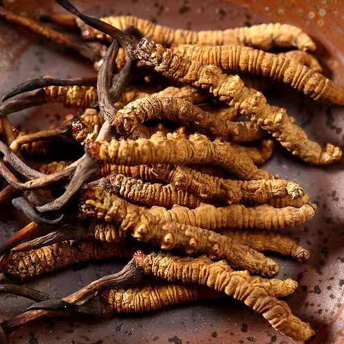 盐津乌骨鸡获地标认证！骄傲的“家乡味”走向全国餐桌(图1)