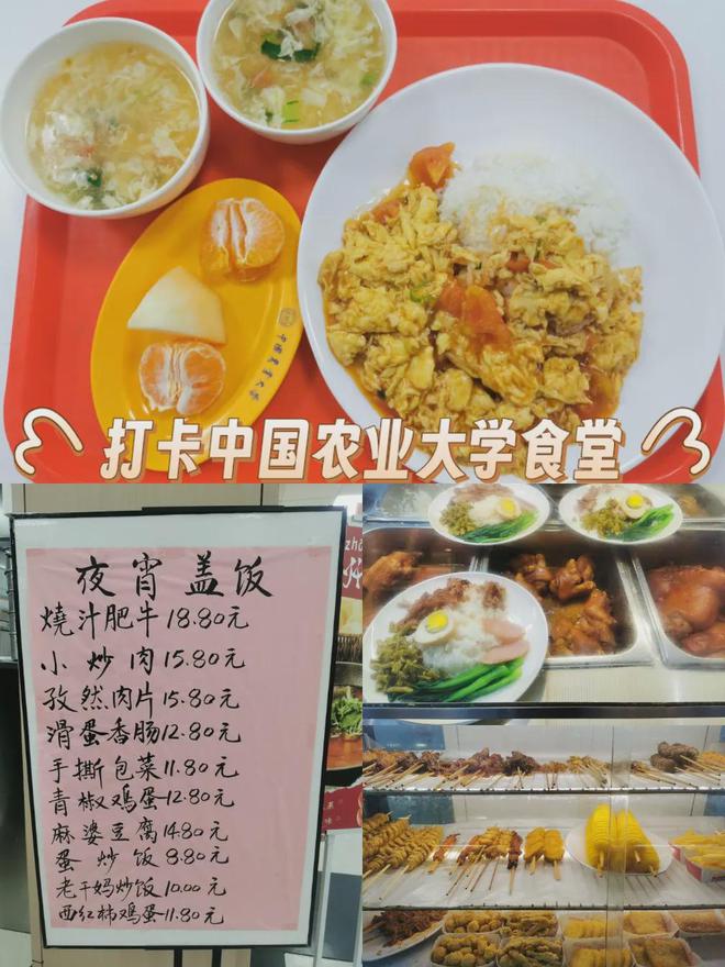中国十大食堂最好吃的大学：干饭人的择校指南！(图2)
