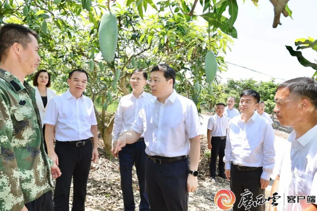 韦韬到百色市调研强调要坚持创新驱动推动区域特色产业高质量发展(图2)