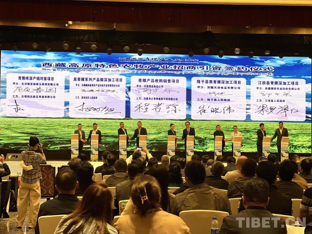 西藏首届青稞产业发展大会在拉萨举办(图2)