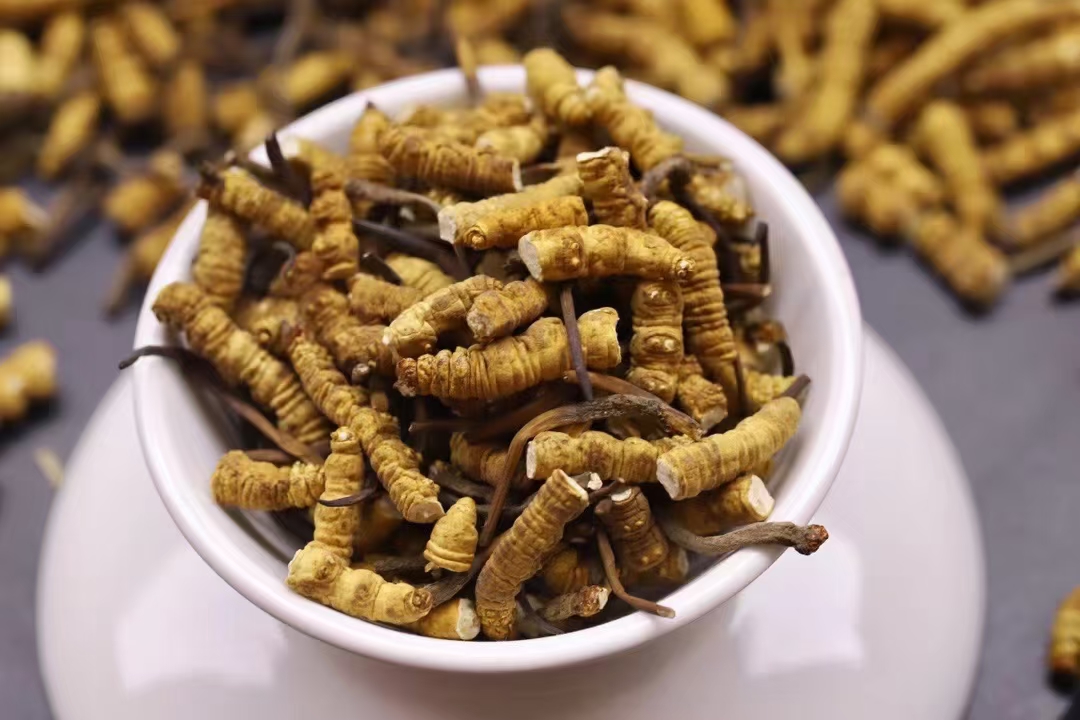 嘉实美国成长股票人民币(图1)