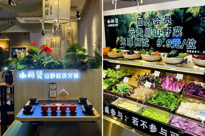 今年的餐饮市场被“山野风”绑架了(图7)