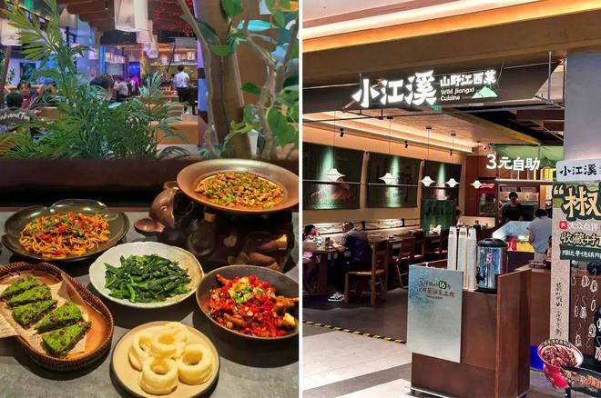 今年的餐饮市场被“山野风”绑架了(图2)