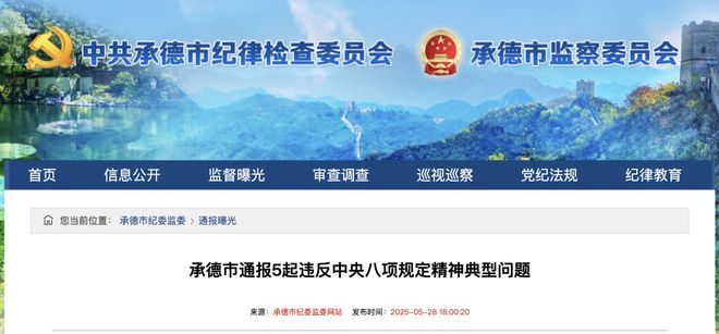 严肃处理！河北通报28名干部违规问题(图3)