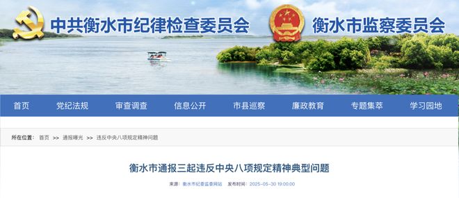 严肃处理！河北通报28名干部违规问题(图6)