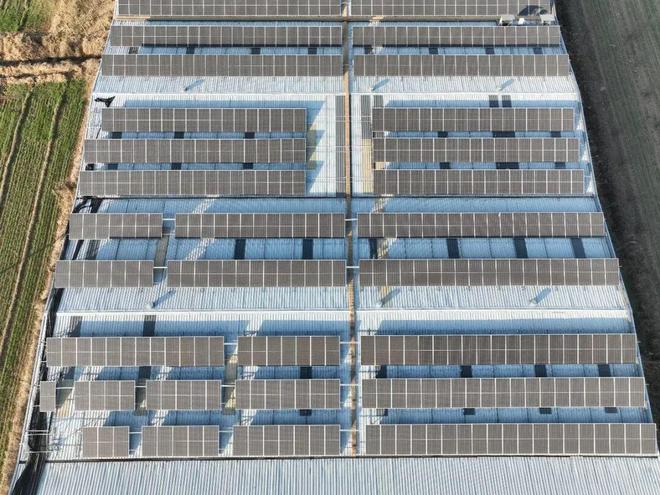 行业风向 光伏反内卷：做“减法”也要做“加法”(图1)