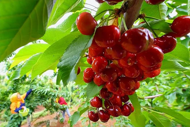 绛县！一个仅占国土万分之一的小城竟被称为“天下第一县”(图5)