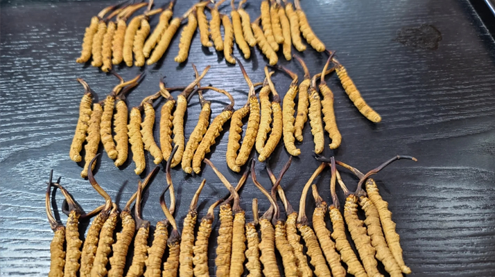 以足球之名积极讲述区域发展与城市营销新故事 “渝超”搭舞台 区县唱大戏(图1)