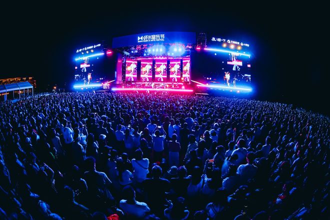 大麦娱乐从一棵树到一片森林(图2)