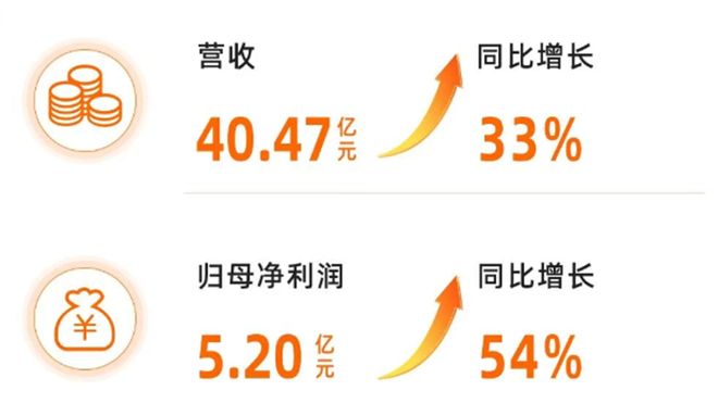 大麦娱乐从一棵树到一片森林(图1)