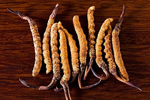 产能收缩+需求复苏 我国食用菌行业回暖 政策推动价值链攀升(图1)