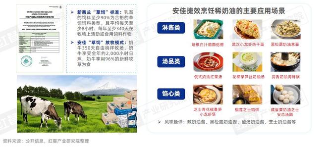 餐饮行业“漂亮饭”研究报告2025：漂亮饭风潮下情绪消费成餐饮新风口？(图11)