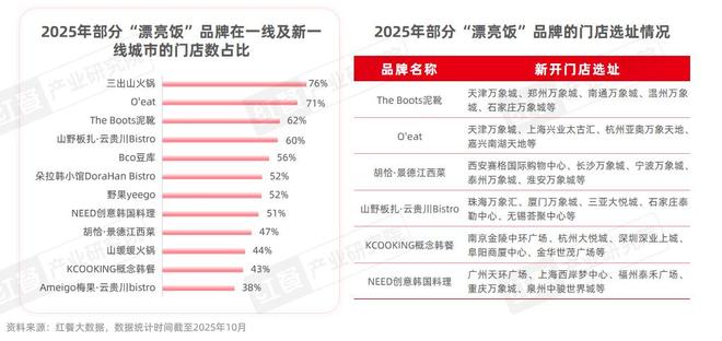 餐饮行业“漂亮饭”研究报告2025：漂亮饭风潮下情绪消费成餐饮新风口？(图13)