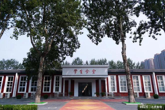 北京物资学院怎么样？4个食堂神了！10元吃饱、不用排队(图3)