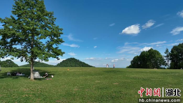 中新网 湖北建始生态实践：从环境治理到绿色富民转型(图1)