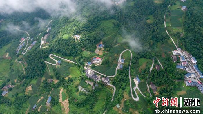 中新网 湖北建始生态实践：从环境治理到绿色富民转型(图3)