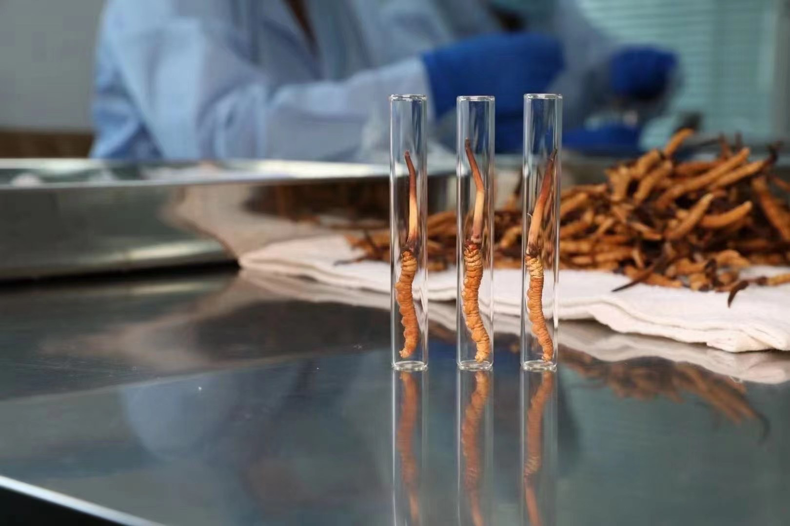 西藏绿之源：沙荒地上探索设施农业(图1)