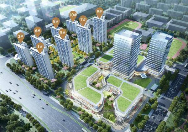 合肥伟星印湖山楼盘怎么样-学区(图2)