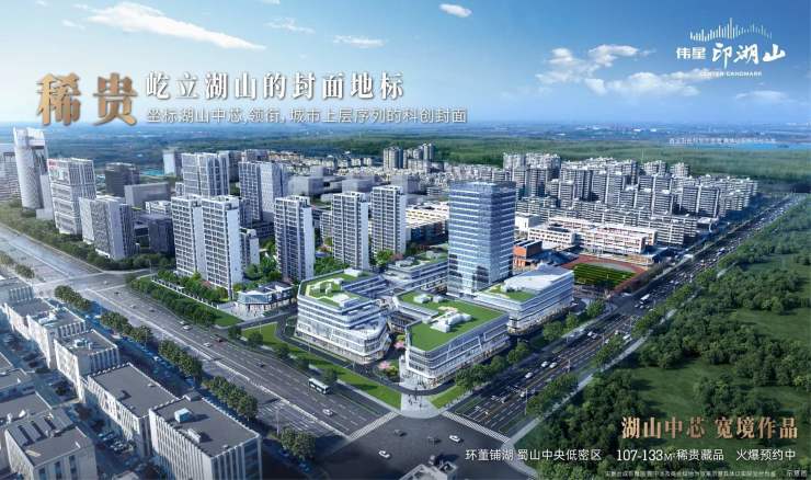 合肥伟星印湖山楼盘怎么样-学区(图5)